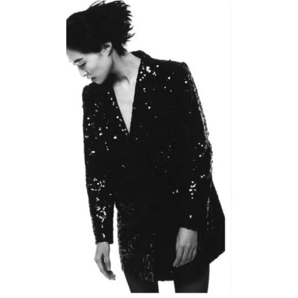 ZARA - SEQUIN BLAZER / size Large - Picture 1 of 9